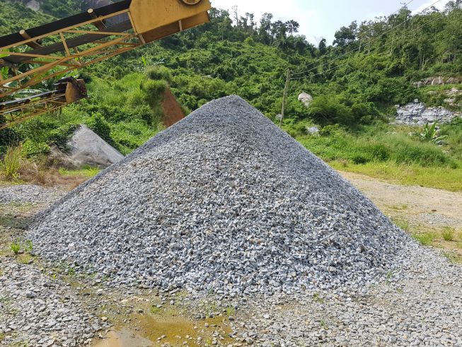 Microsoft Word - PICTURES FOR WEB 2019.docx